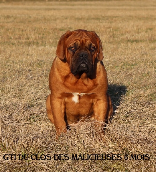 Gti Du clos des malicieuses