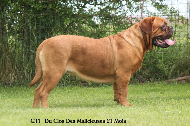 Gti Du clos des malicieuses