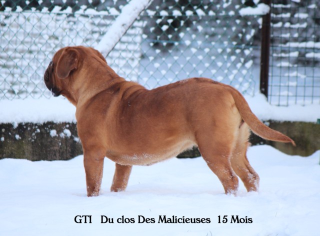 Gti Du clos des malicieuses